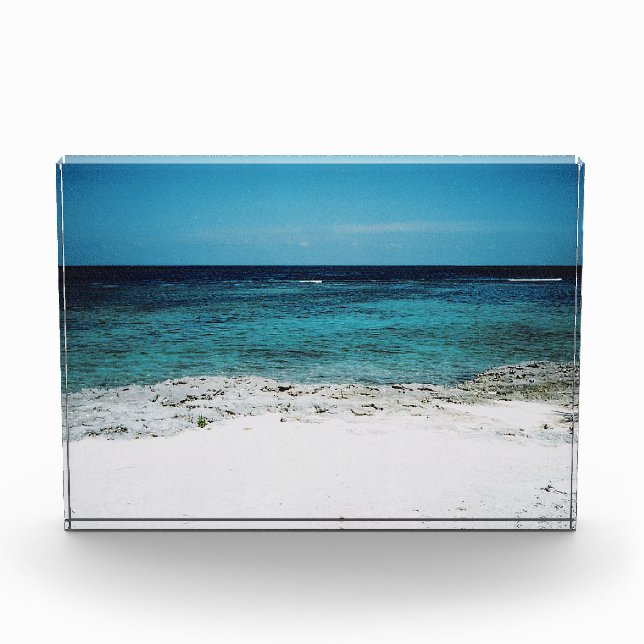 Bloque Para Fotos Mirada Tropical (Anverso)