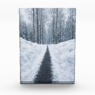 Bloque Para Fotos Misty Winter Forest Path Winter Landscape Poster