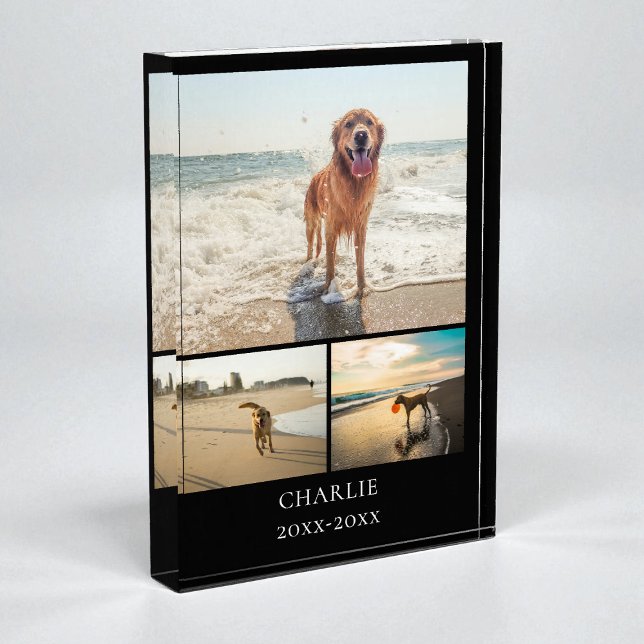 Bloque Para Fotos Modern Dog Keepsake Black Personalized Pet Collage (Modern Dog Keepsake Black Personalized Pet Collage Photo Block)