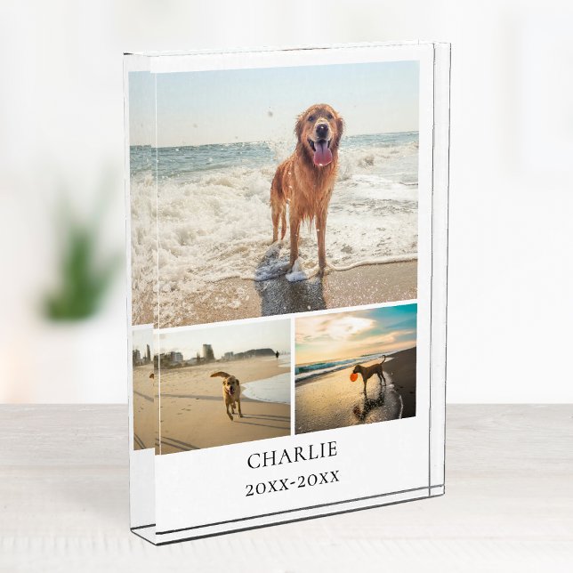Bloque Para Fotos Modern Dog Keepsake Cute Personalized Pet Collage (Modern Dog Keepsake Cute Personalized Pet Collage Photo Block)