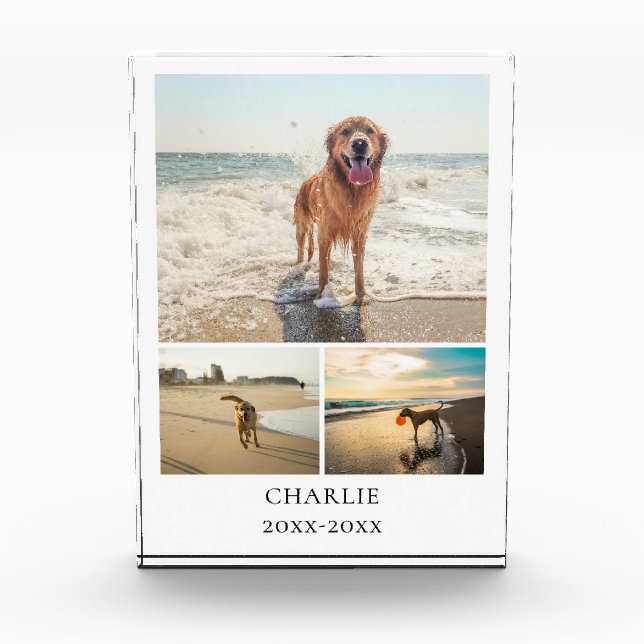 Bloque Para Fotos Modern Dog Keepsake Cute Personalized Pet Collage (Anverso)