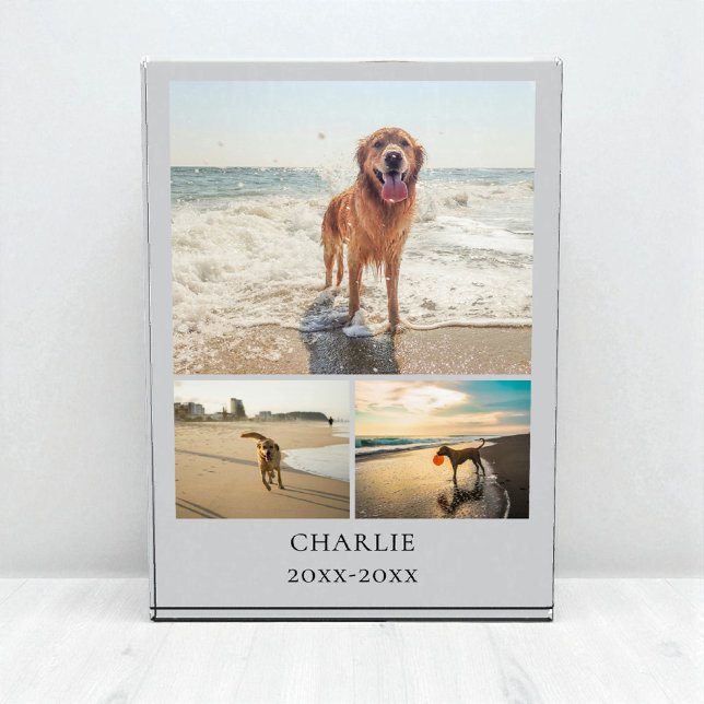 Bloque Para Fotos Modern Dog Keepsake Gray Personalized Pet Collage (Modern Dog Keepsake Gray Personalized Pet Collage Photo Block)