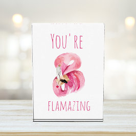 Bloque Para Fotos Moderno, Es Flamante Belleza Flamingo Rosa