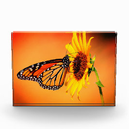 Bloque Para Fotos Monarca y girasol