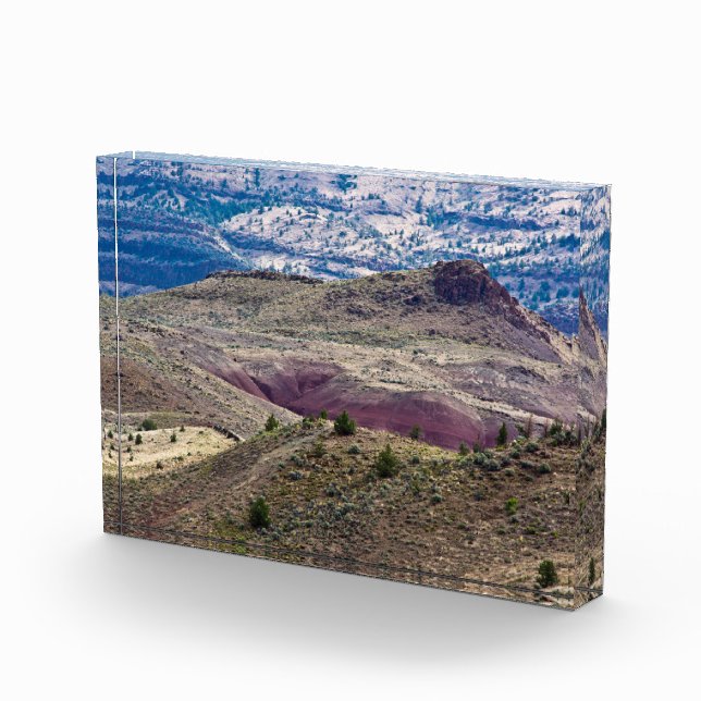 Bloque Para Fotos Monumento Nacional de Camas Fósiles John Day, Oreg (Derecha)