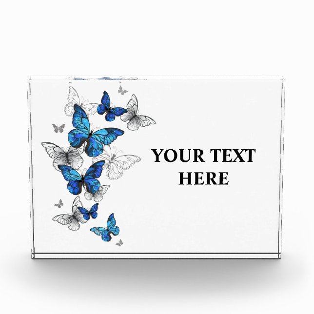 Bloque Para Fotos Morfo de las mariposas voladoras azules (Anverso)