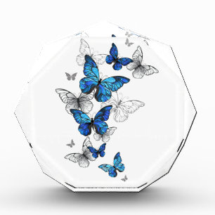 Bloque Para Fotos Morfo de las mariposas voladoras azules