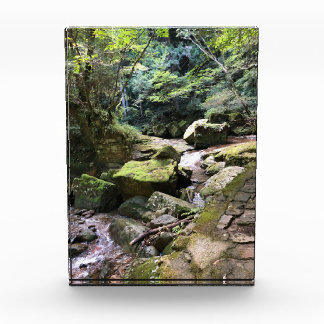 Bloque Para Fotos Mossy Mountain Stream in a Japanese Forest Jigsaw