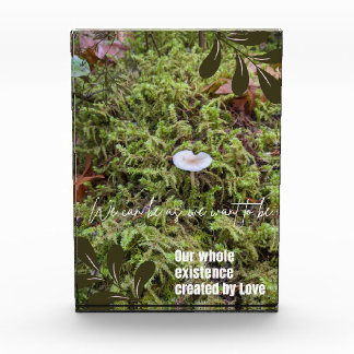 Bloque Para Fotos Mushroom de Belknap con cita