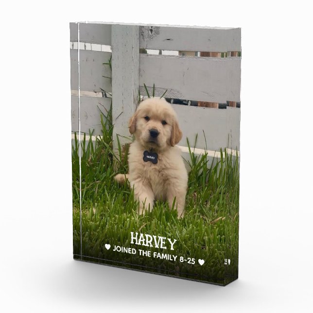 Bloque Para Fotos My Dog Photo (Derecha)