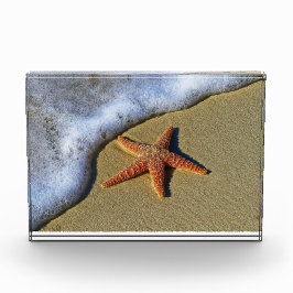 Bloque Para Fotos Naranja starfish en la playa