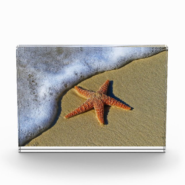 Bloque Para Fotos Naranja starfish en la playa (Anverso)