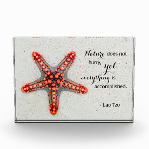 Bloque Para Fotos Naturaleza imprime Starfish con citas en tzu lao