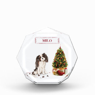Bloque Para Fotos Navidades divertidos de Tri-Color King Charles Spa