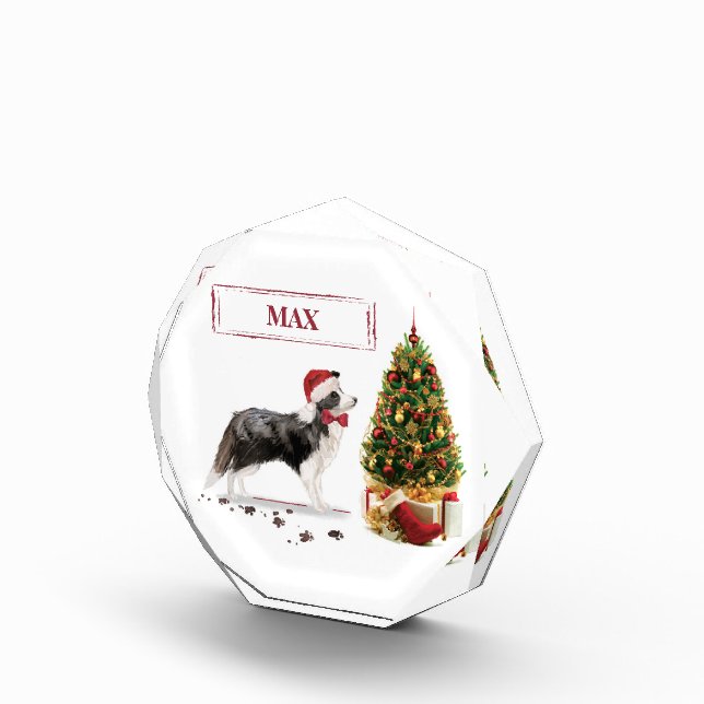 Bloque Para Fotos Navidades graciosos de Border Collie con árbol (Derecha)