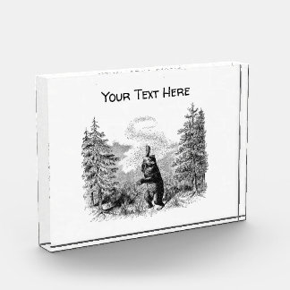 Bloque Para Fotos Nimrod - Oso y Abejas