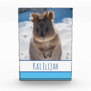 Bloque Para Fotos Niños azules Quokka personalizados en la playa
