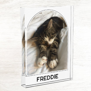 Bloque Para Fotos Nombre de Mascota Personalizado Arco Moderno
