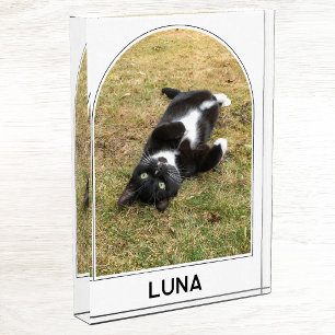 Bloque Para Fotos Nombre de Mascota Personalizado Arco Moderno