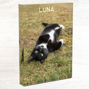 Bloque Para Fotos Nombre de Mascota Personalizado Moderno