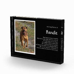 Bloque Para Fotos Nombre de perro y memoria fotográfica