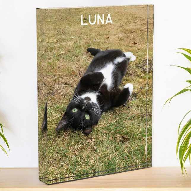 Bloque Para Fotos Nombre Mascota personalizado moderno (Modern photo personalized custom name photo block for family or pet pictures)