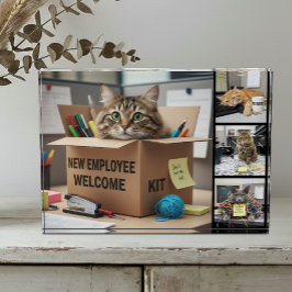 Bloque Para Fotos Office Fun Cats Photo, City, Business Cat