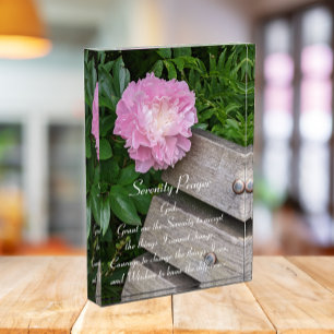 Bloque Para Fotos Oración de serenidad Pink Peony Bloom Floral