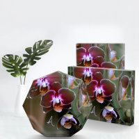 Orquídeas Púrpura Fotografía Botánica Monogramada