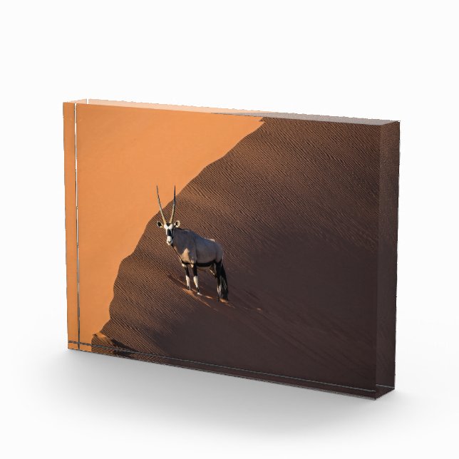 Bloque Para Fotos Oryx al borde, Namibia (Derecha)