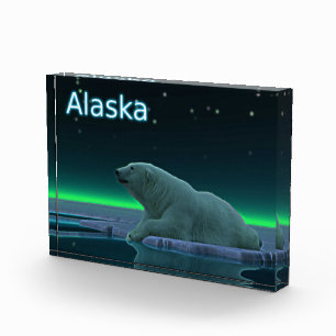 Bloque Para Fotos Oso polar del borde del hielo