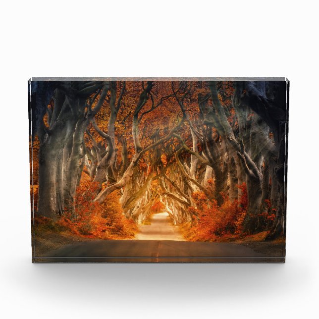 Bloque Para Fotos Otoño a través del aguafiestas (Anverso)