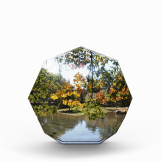 Bloque Para Fotos Otoño en Montreal