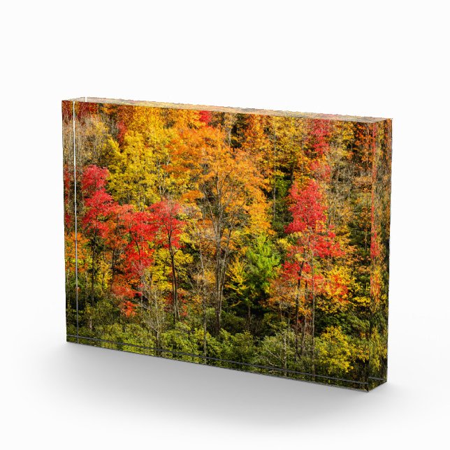 Bloque Para Fotos Otoño en Sims Pond North Carolina, Blue Ridge (Derecha)