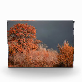 Bloque Para Fotos Otoño Tormentoso