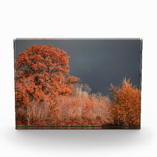 Bloque Para Fotos Otoño Tormentoso