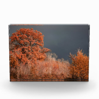Bloque Para Fotos Otoño Tormentoso