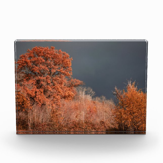 Bloque Para Fotos Otoño Tormentoso (Anverso)