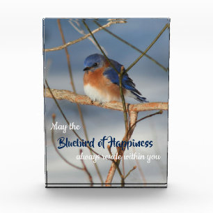 Bloque Para Fotos Pájaro Azul De La Felicidad Inspirador