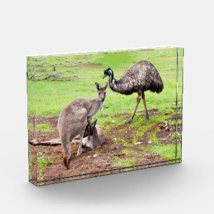 Bloque Para Fotos "Pals improbables: El canguro y la amistad Emu"