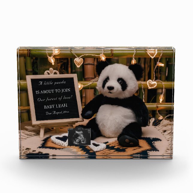 Bloque Para Fotos Panda Plushie Adorable Invitación de Embarazo (Anverso)