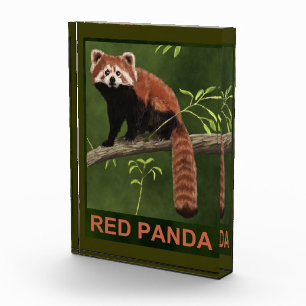 Bloque Para Fotos Panda rojo