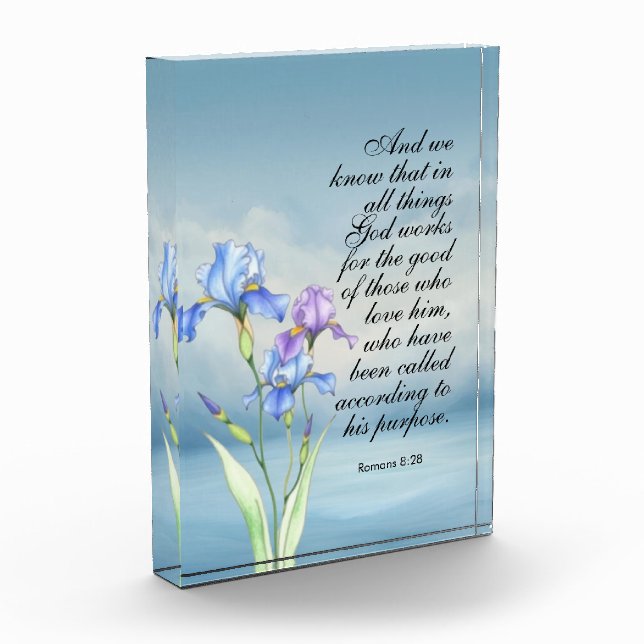 Bloque Para Fotos Papel (Izquierda)