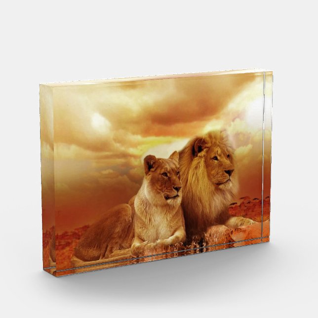 Bloque Para Fotos Pareja de leones en el safari (Izquierda)