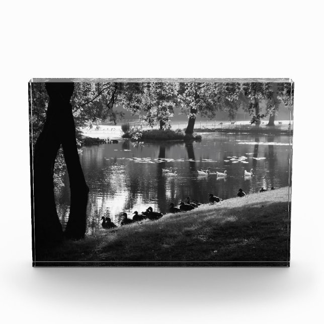 Bloque Para Fotos Park Life pbm (Anverso)