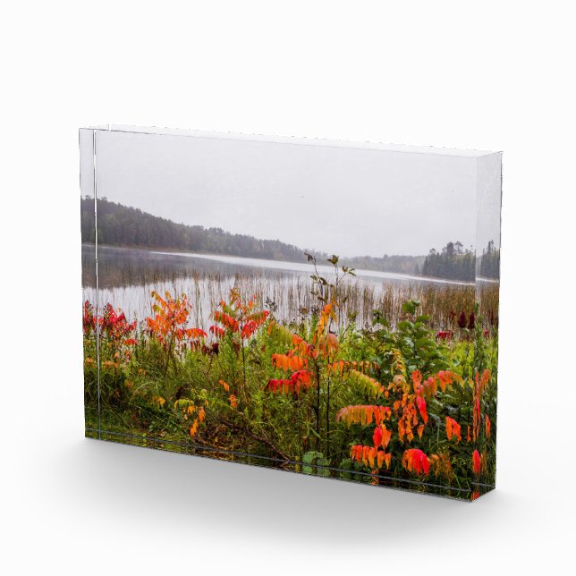 Bloque Para Fotos Parque estatal Itasca | Minnesota (Derecha)