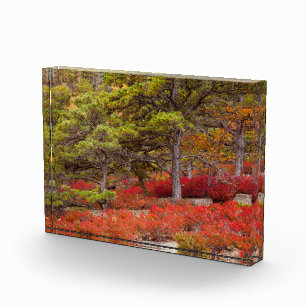 Bloque Para Fotos Parque Nacional Acadia, Maine