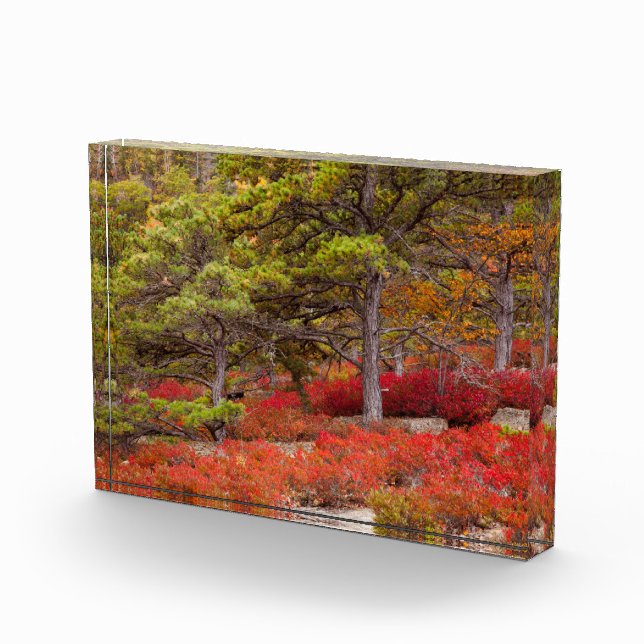 Bloque Para Fotos Parque nacional Acadia, Maine (Derecha)