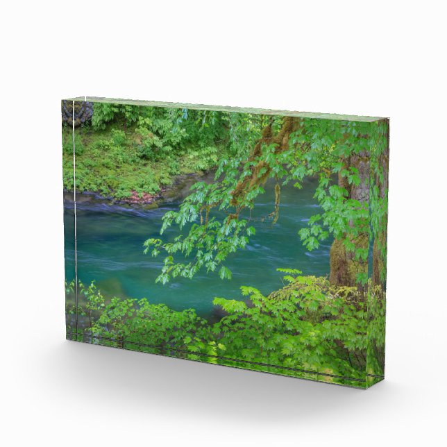 Bloque Para Fotos Parque nacional olímpico Estado de Washington (Derecha)