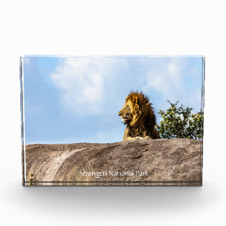 Bloque Para Fotos Parque Nacional Serengeti